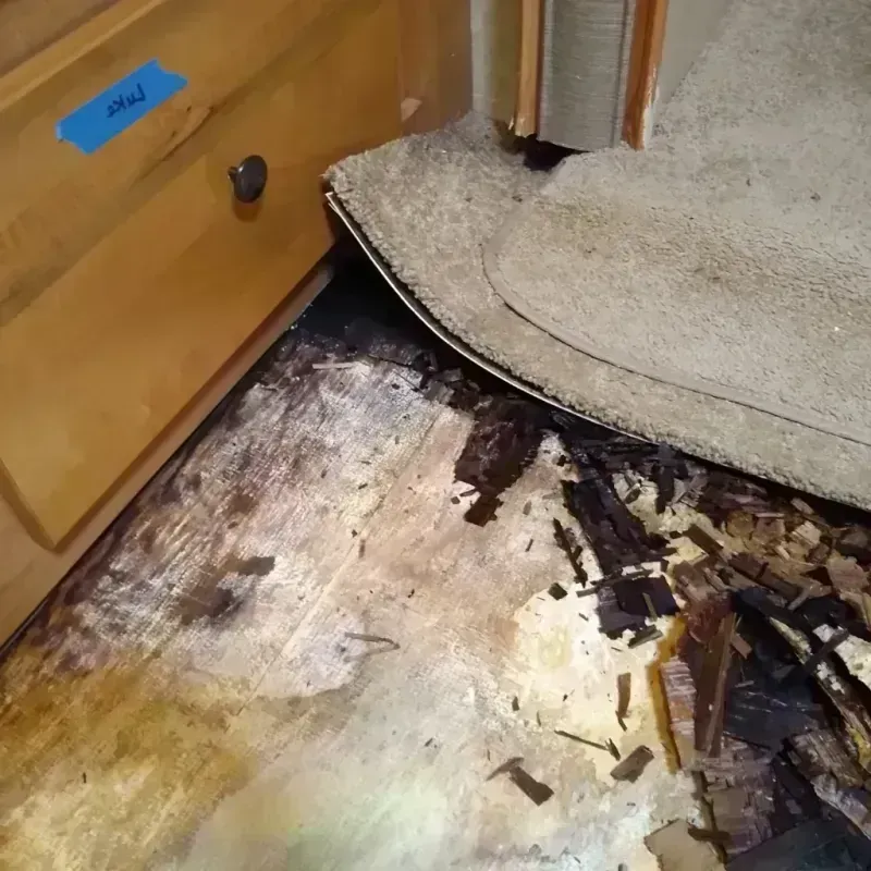 Wood Floor Water Damage in Grass Lake, MI